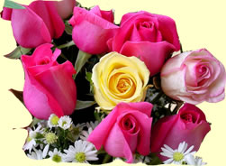 rose